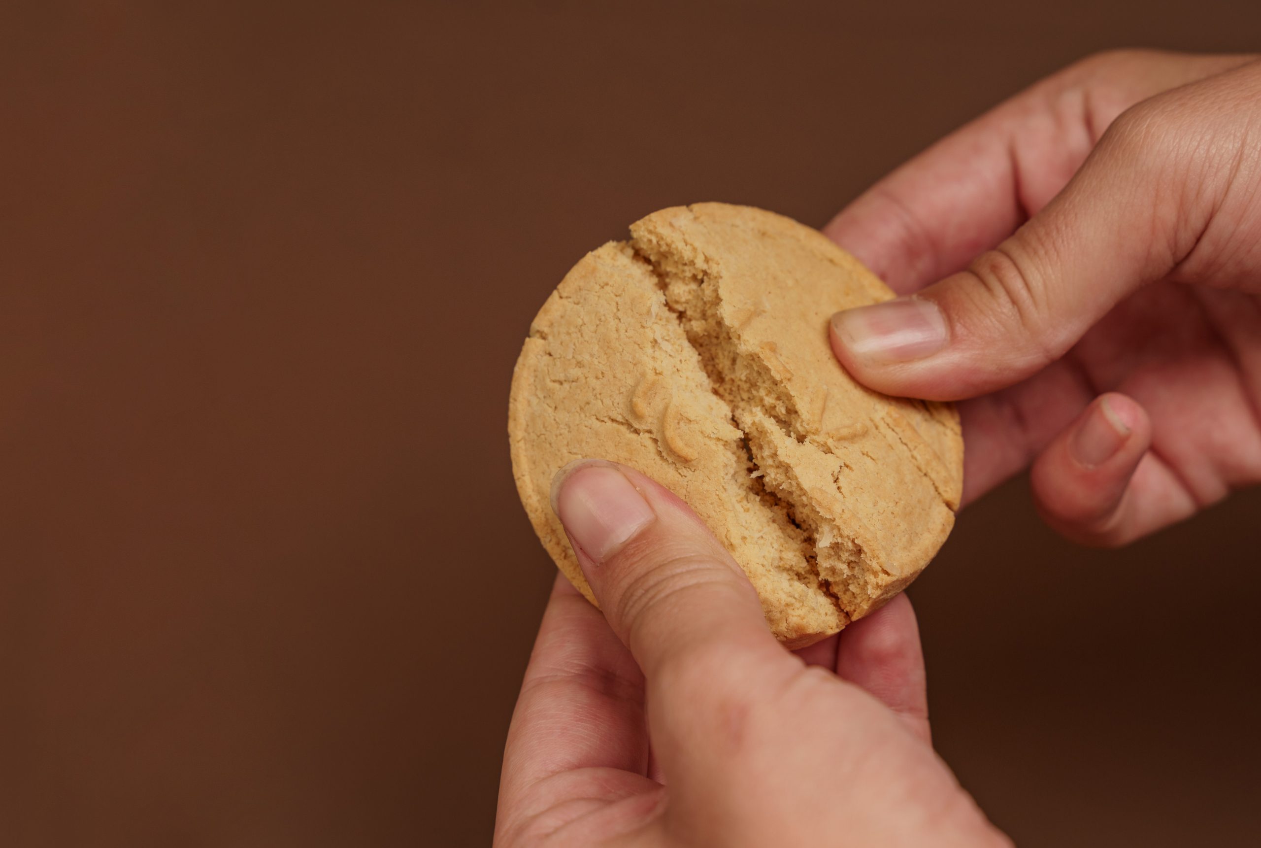 Cookie de coco - bolacha seca, rica em proteína, sem açúcares