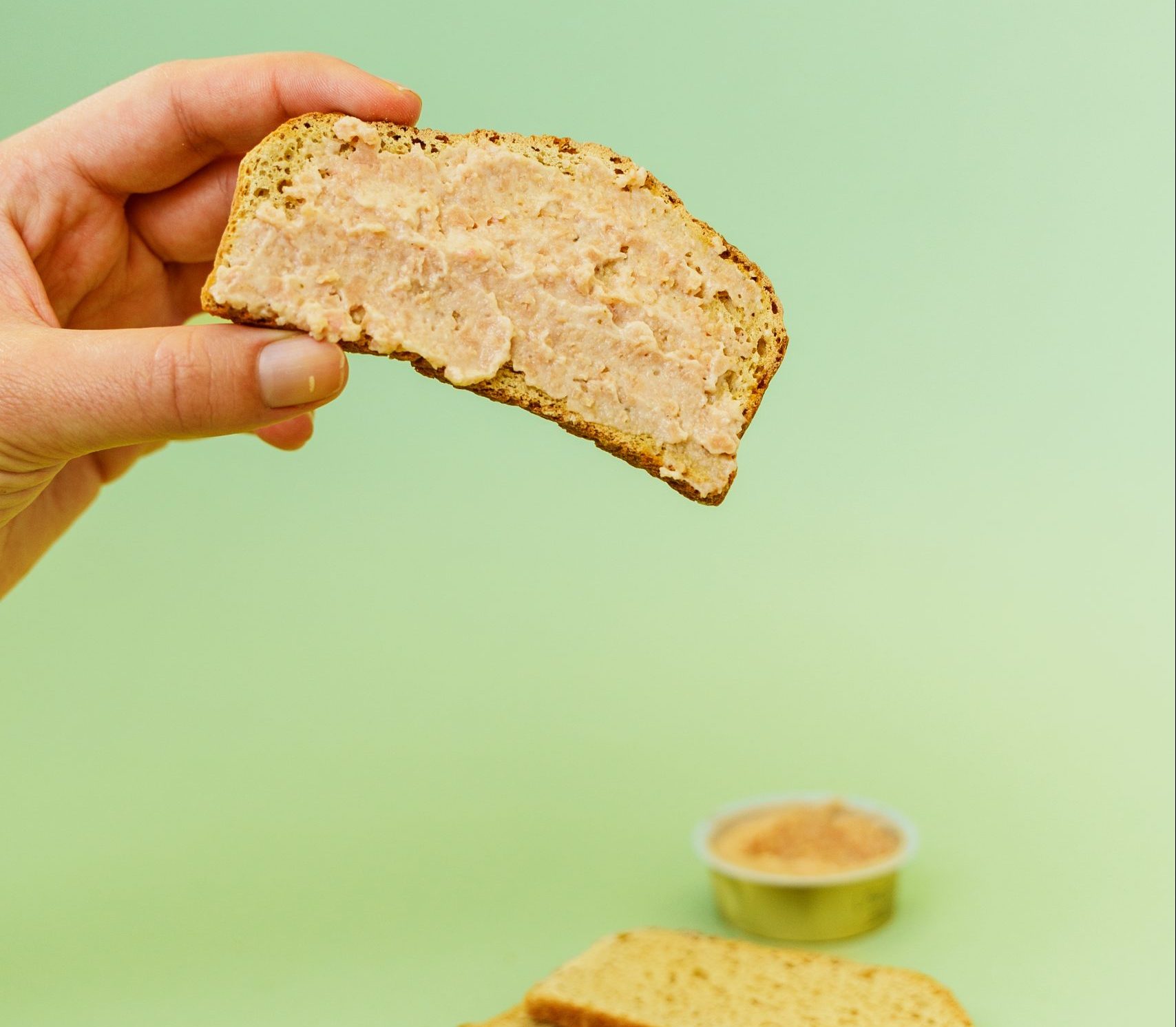 Tostas finíssimas com patê de peru - baixas em hidratos