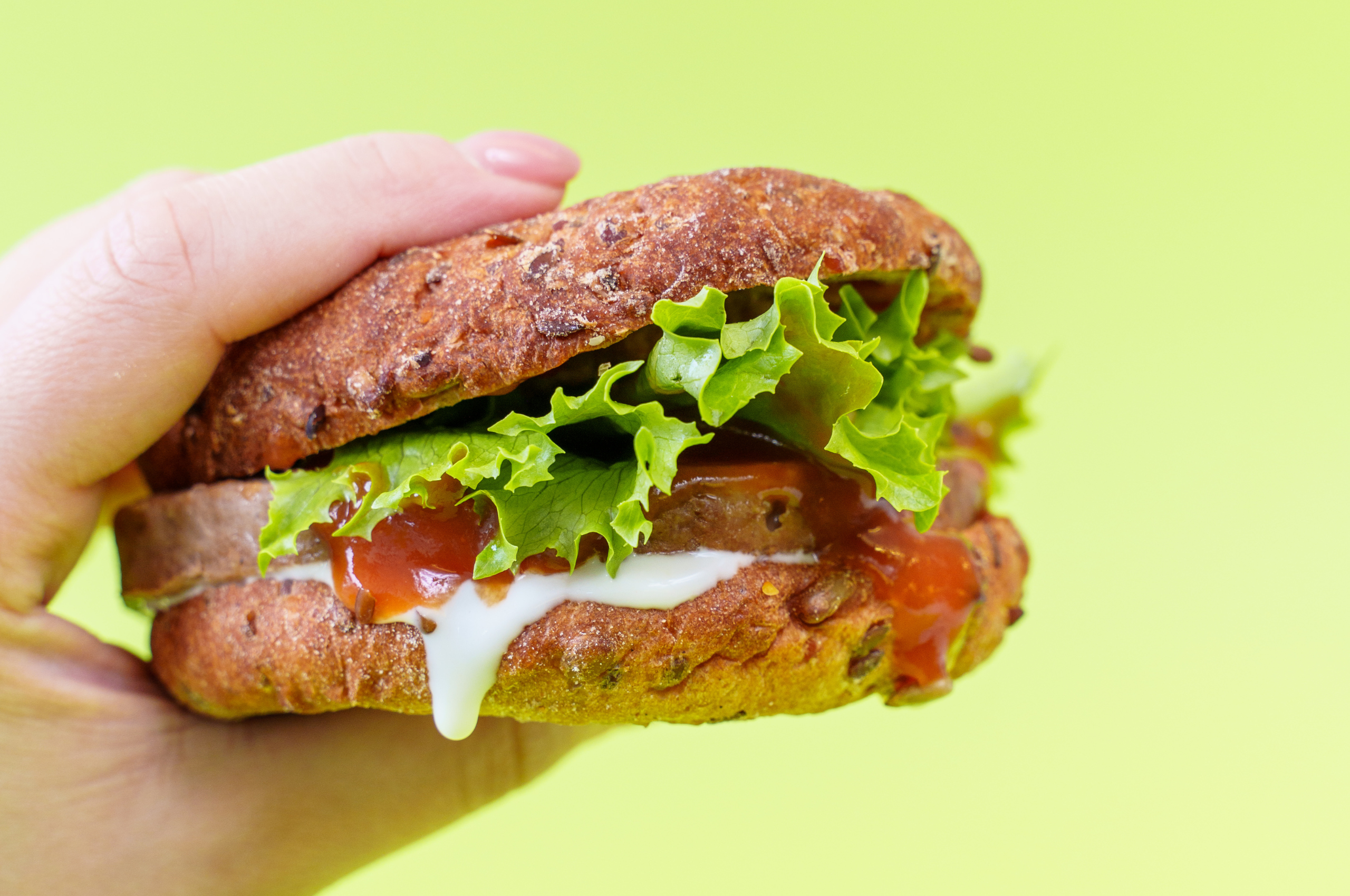 Lev Burger: hamburger saudável apto para dieta