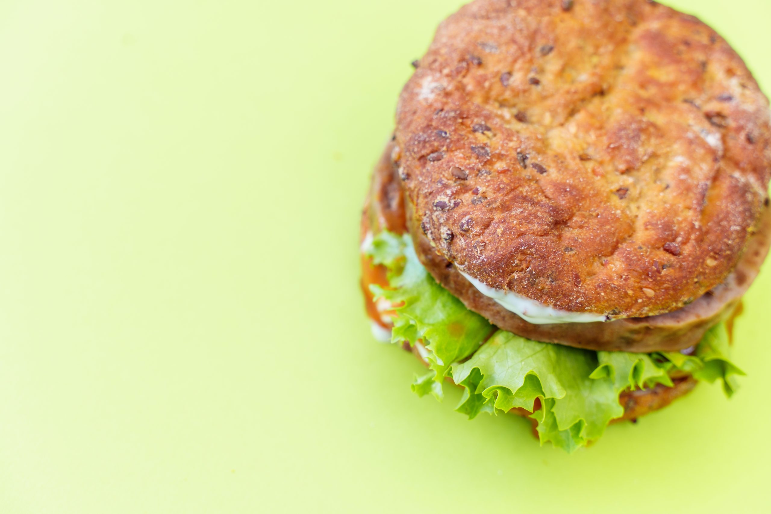 Lev Burger: hamburger saudável apto para dieta