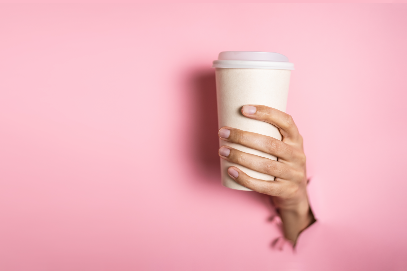 dieta antienvelhecimento