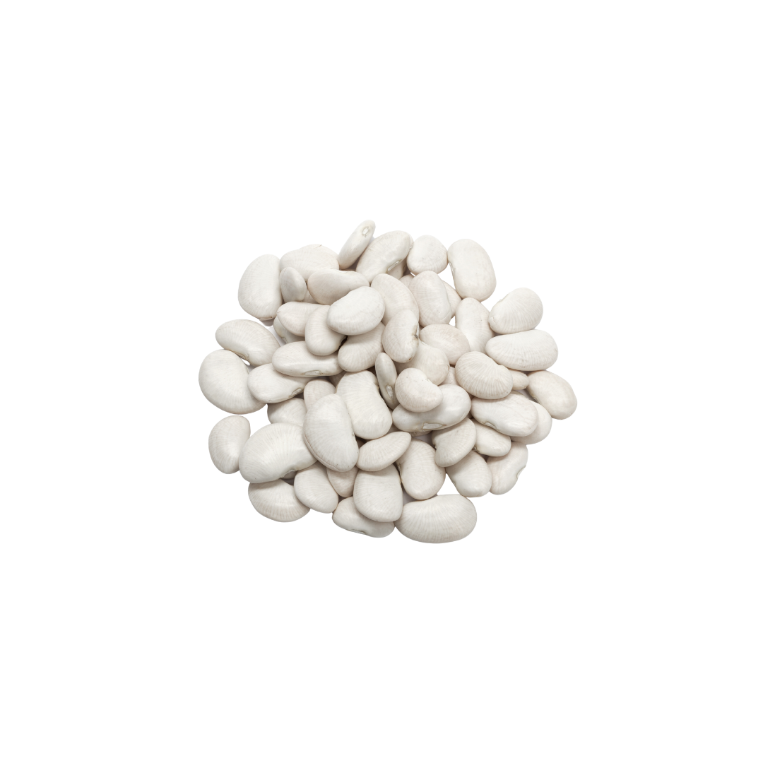 Feijão Branco